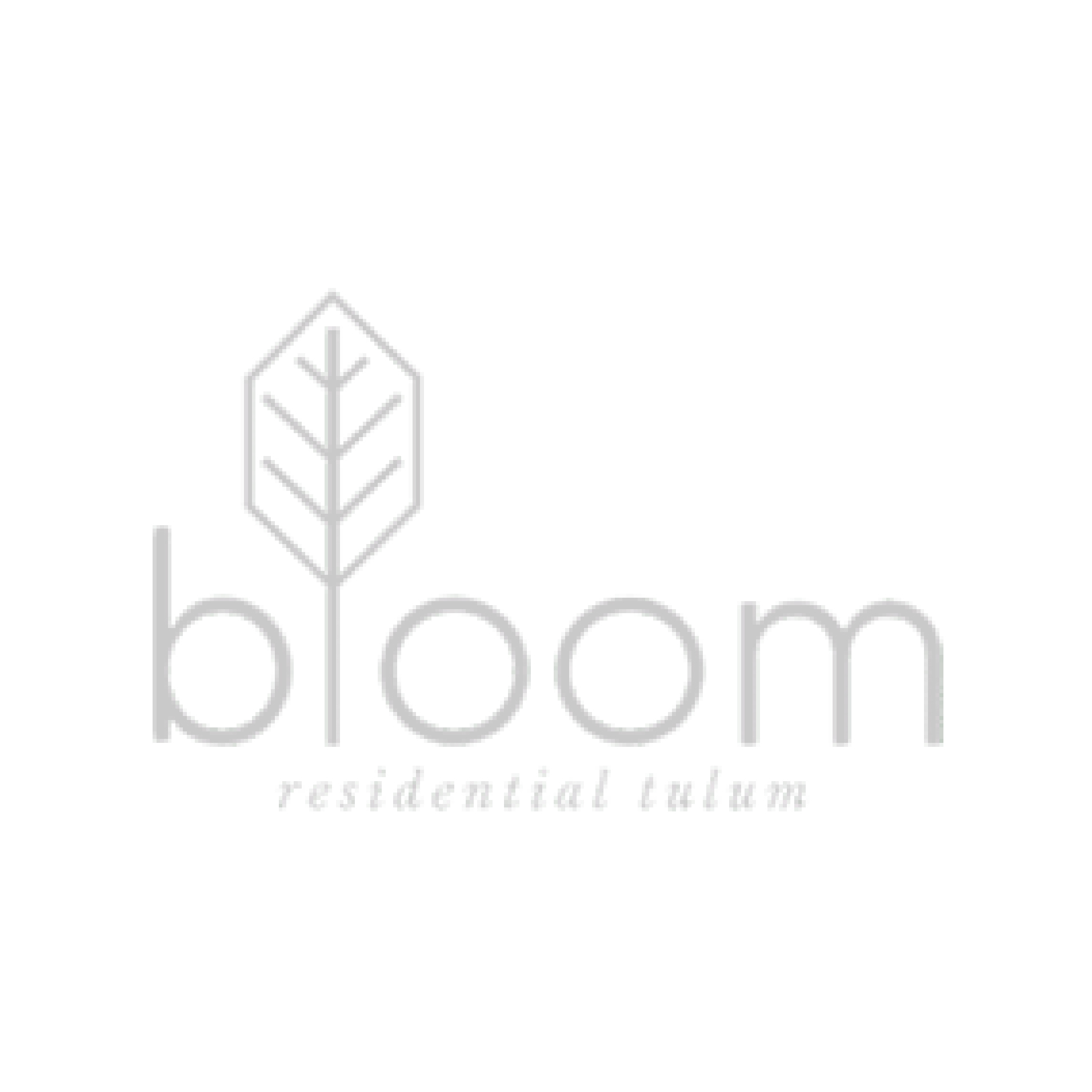  Bloom 